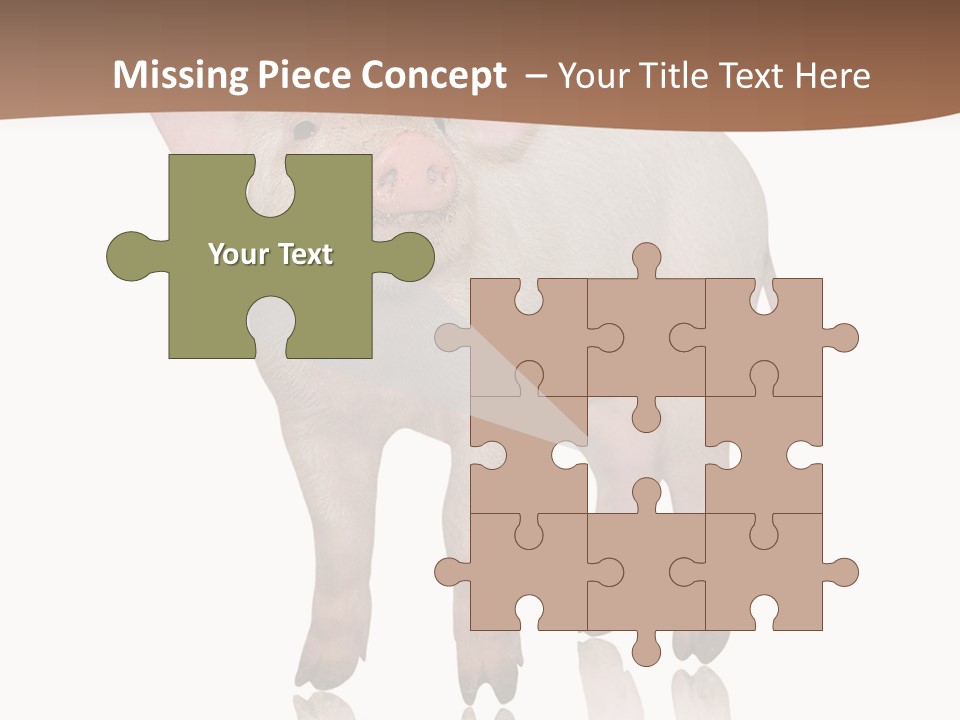 Image Shot Pig PowerPoint Template