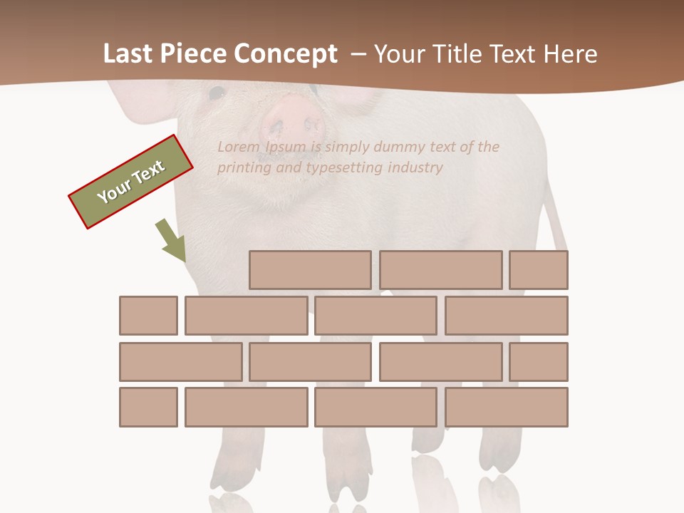Image Shot Pig PowerPoint Template