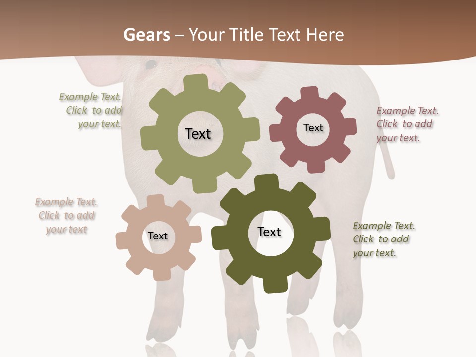 Image Shot Pig PowerPoint Template