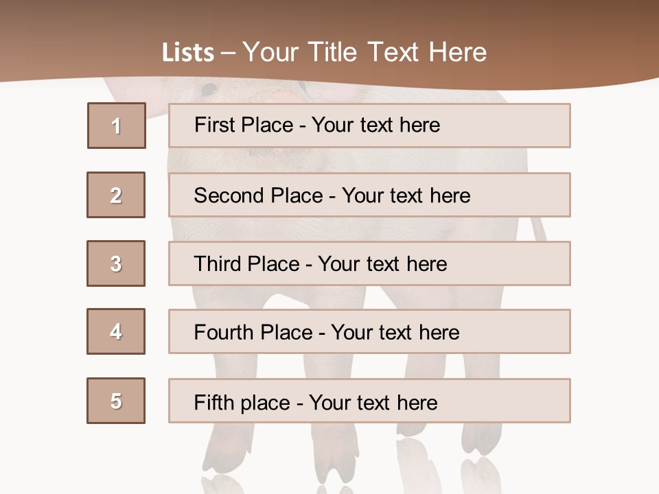 Image Shot Pig PowerPoint Template