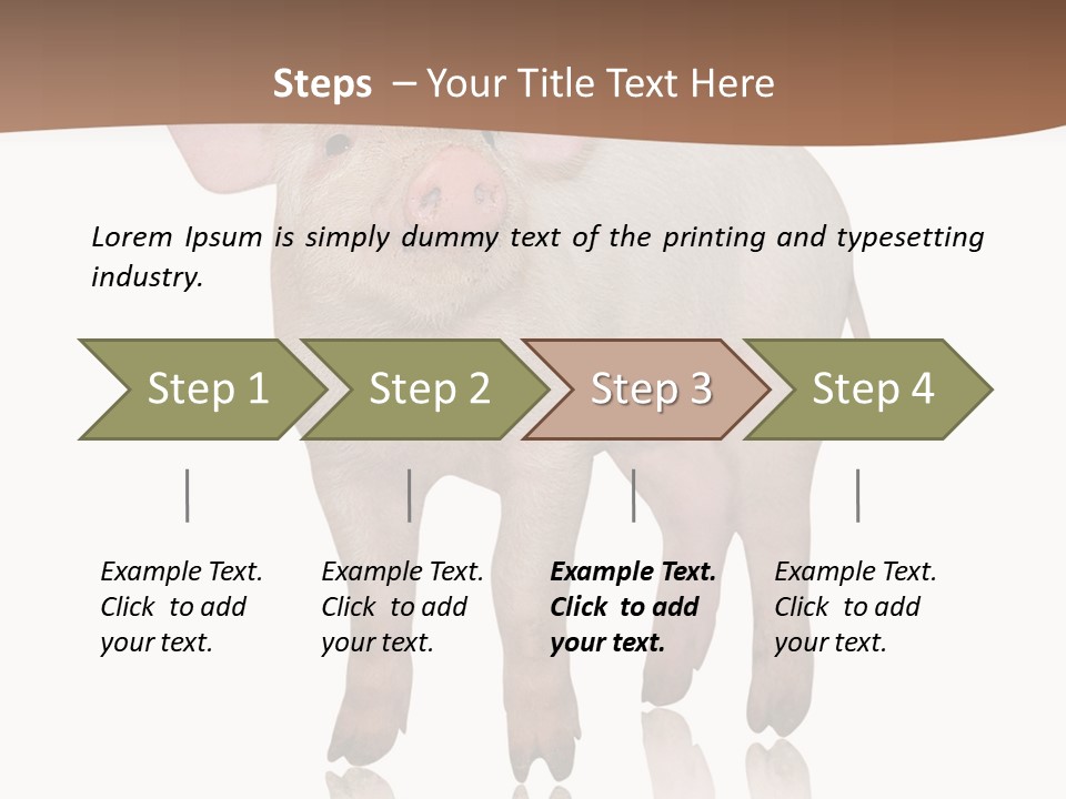 Image Shot Pig PowerPoint Template