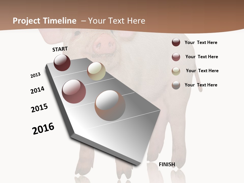 Image Shot Pig PowerPoint Template