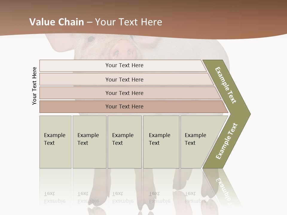 Image Shot Pig PowerPoint Template