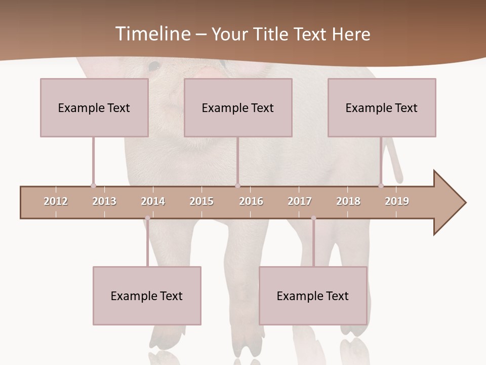 Image Shot Pig PowerPoint Template