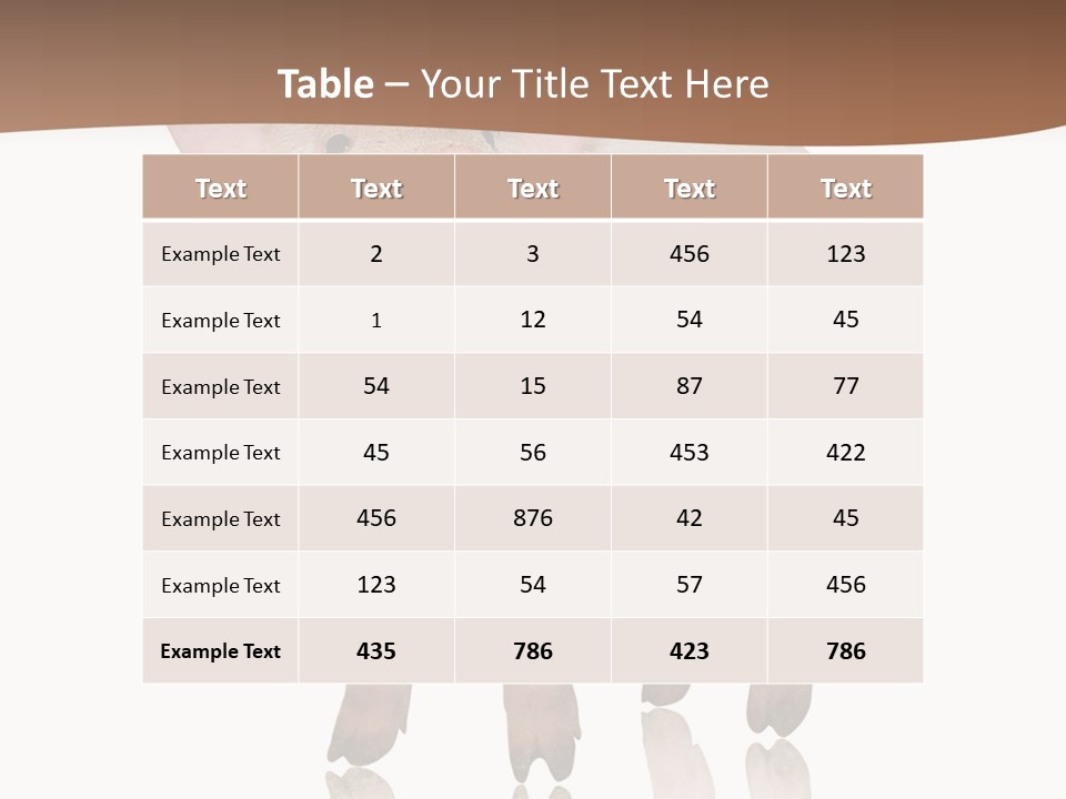 Image Shot Pig PowerPoint Template