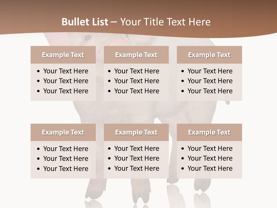 Image Shot Pig PowerPoint Template