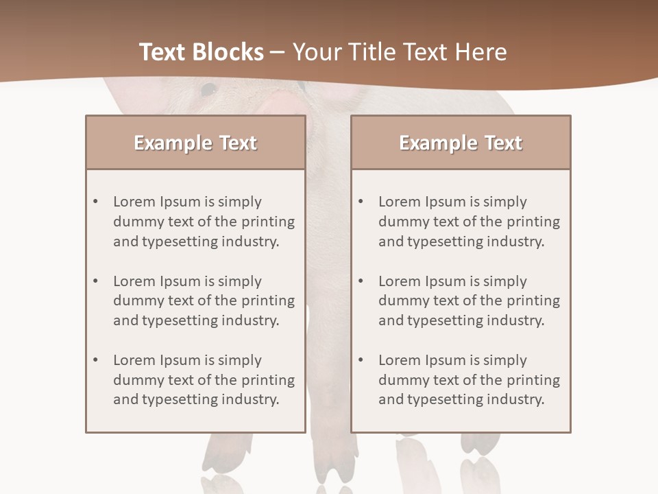 Image Shot Pig PowerPoint Template