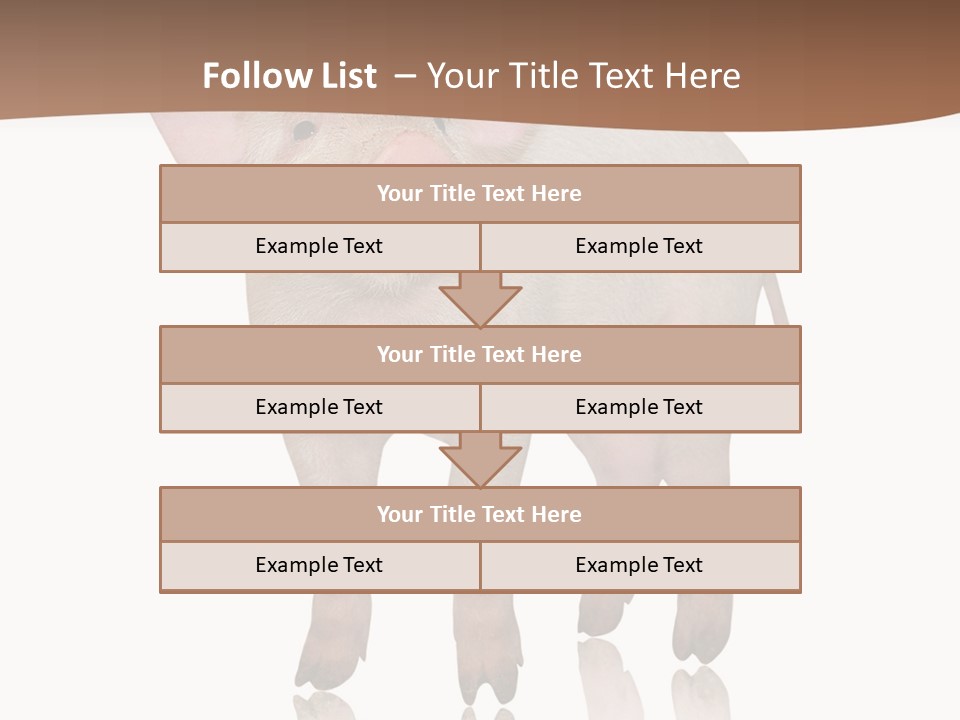 Image Shot Pig PowerPoint Template