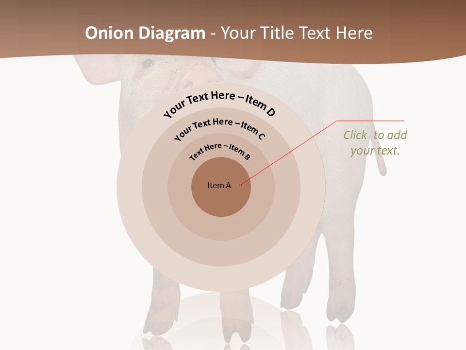 Image Shot Pig PowerPoint Template