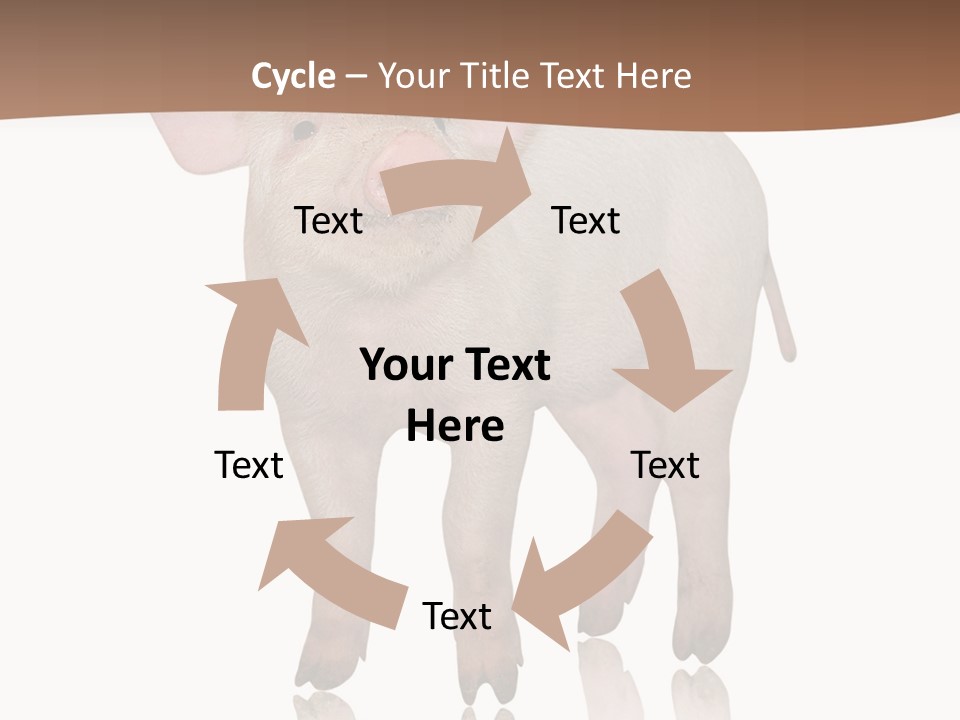 Image Shot Pig PowerPoint Template