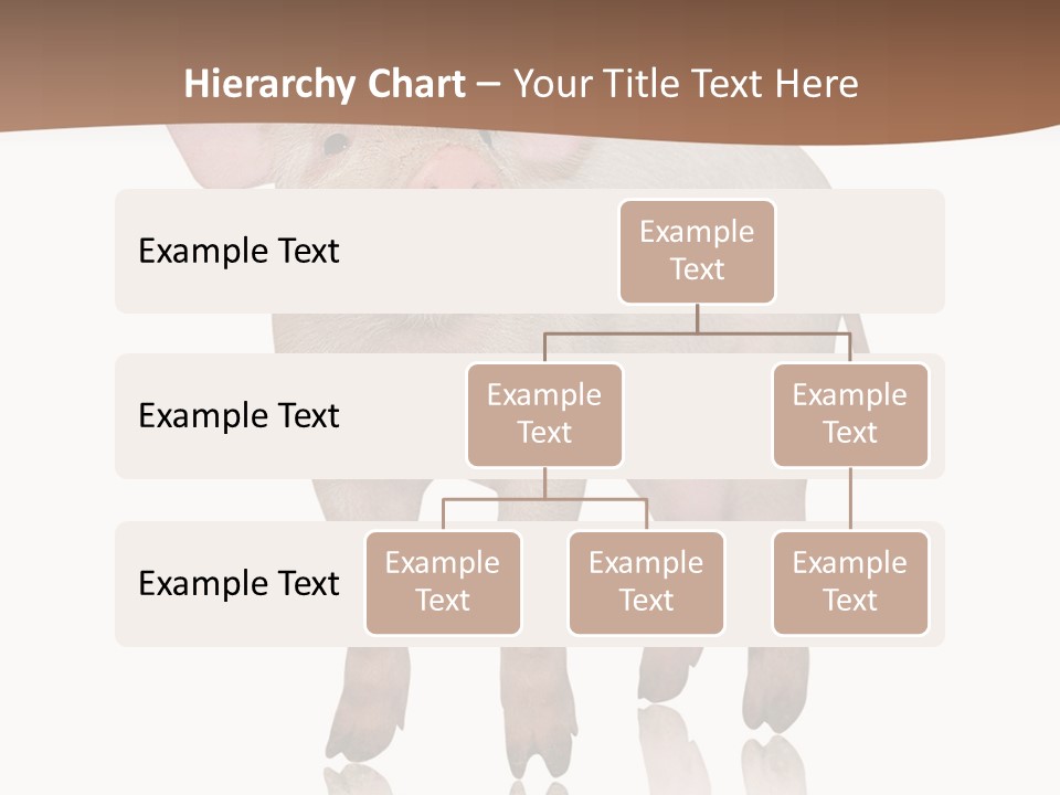 Image Shot Pig PowerPoint Template