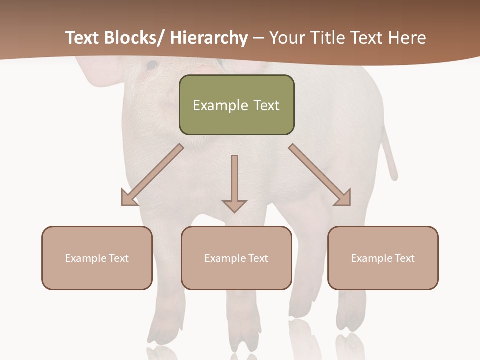 Image Shot Pig PowerPoint Template