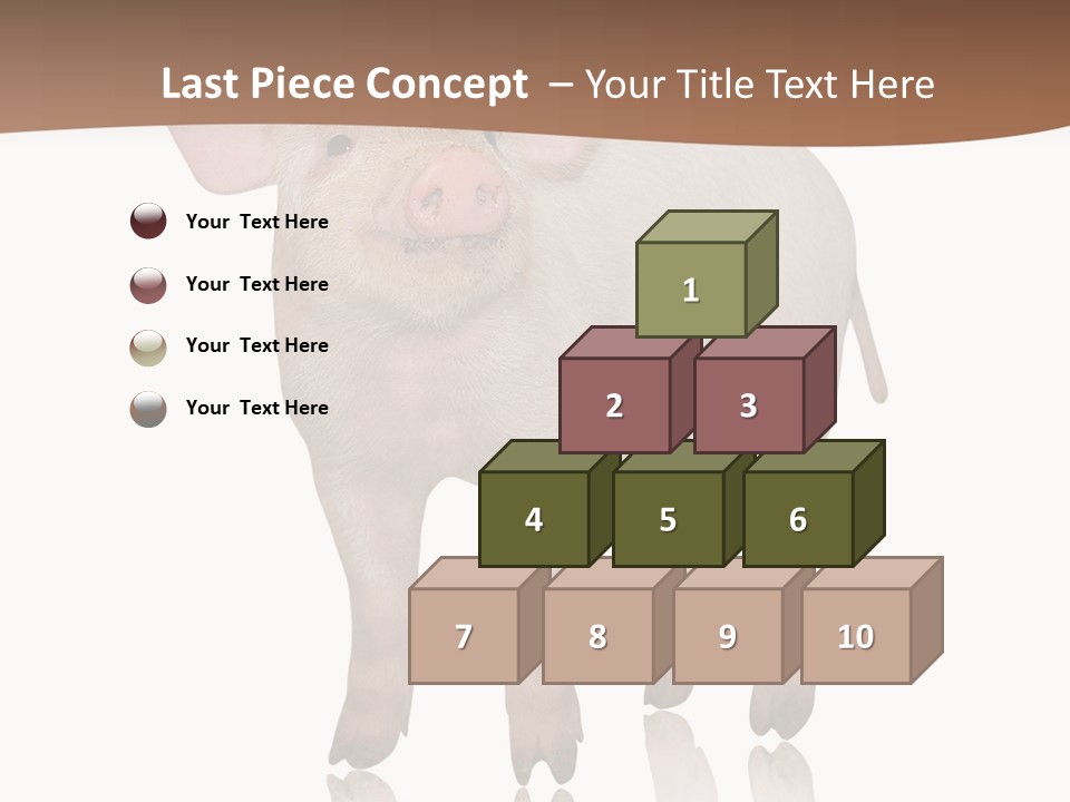 Image Shot Pig PowerPoint Template