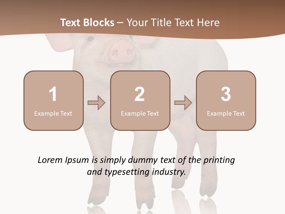 Image Shot Pig PowerPoint Template