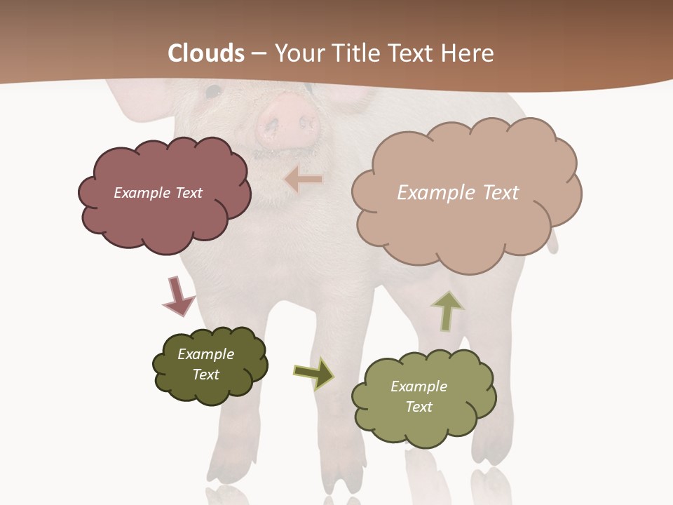 Image Shot Pig PowerPoint Template