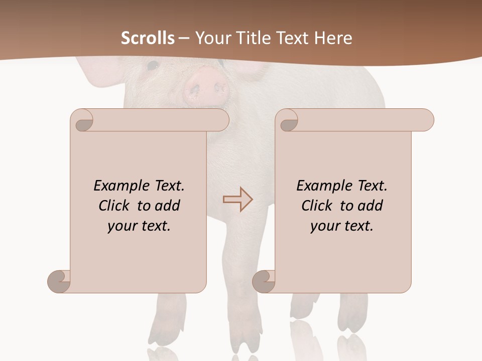 Image Shot Pig PowerPoint Template