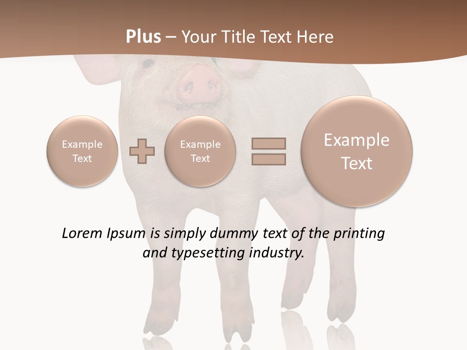 Image Shot Pig PowerPoint Template