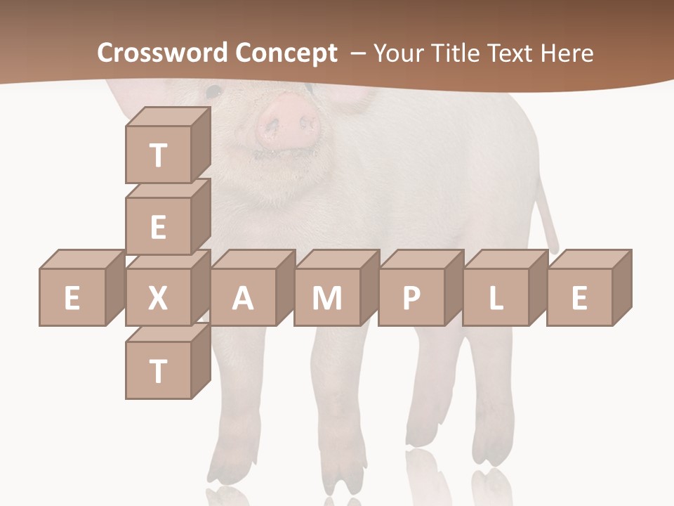 Image Shot Pig PowerPoint Template