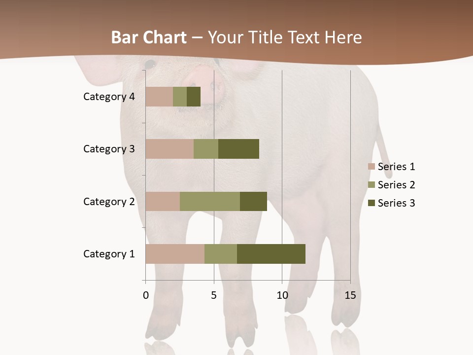 Image Shot Pig PowerPoint Template