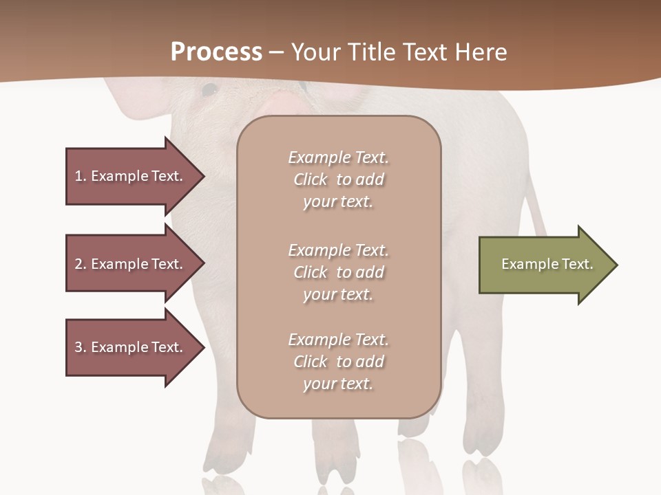Image Shot Pig PowerPoint Template