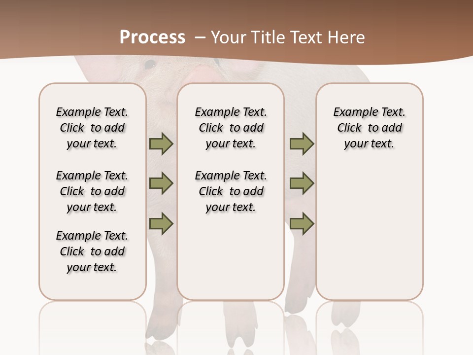 Image Shot Pig PowerPoint Template