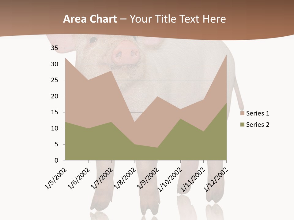 Image Shot Pig PowerPoint Template