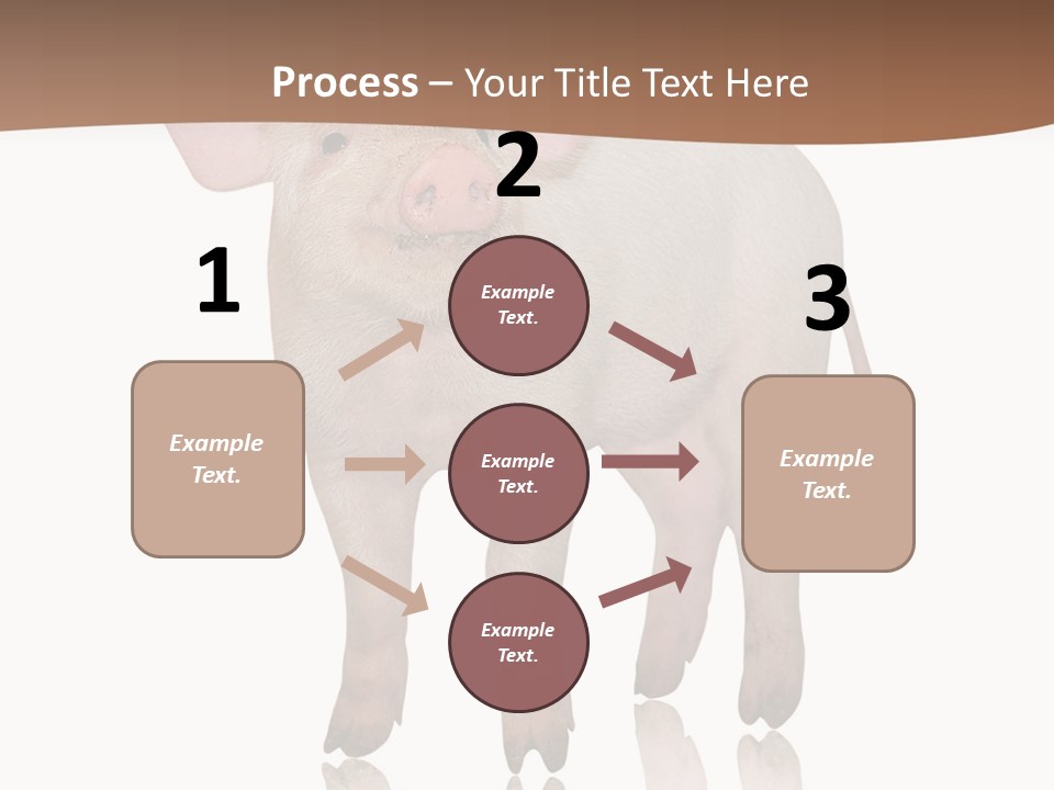 Image Shot Pig PowerPoint Template