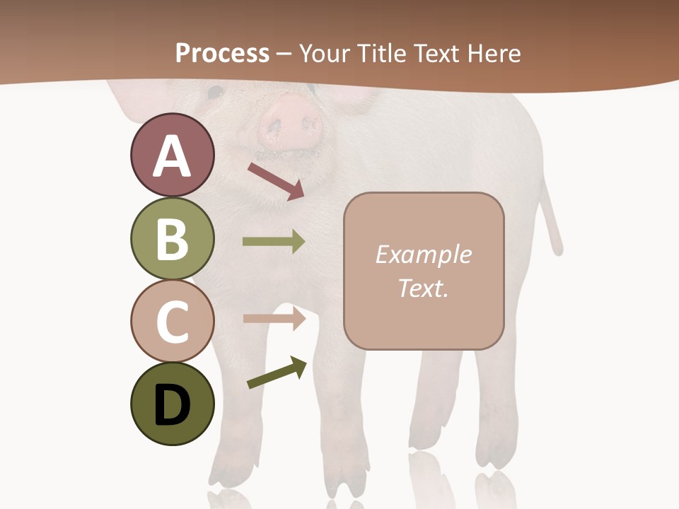 Image Shot Pig PowerPoint Template