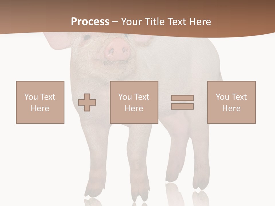 Image Shot Pig PowerPoint Template