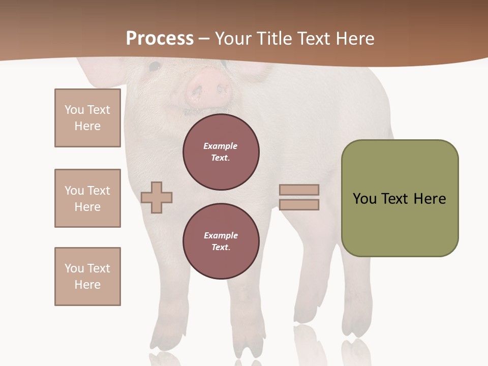 Image Shot Pig PowerPoint Template