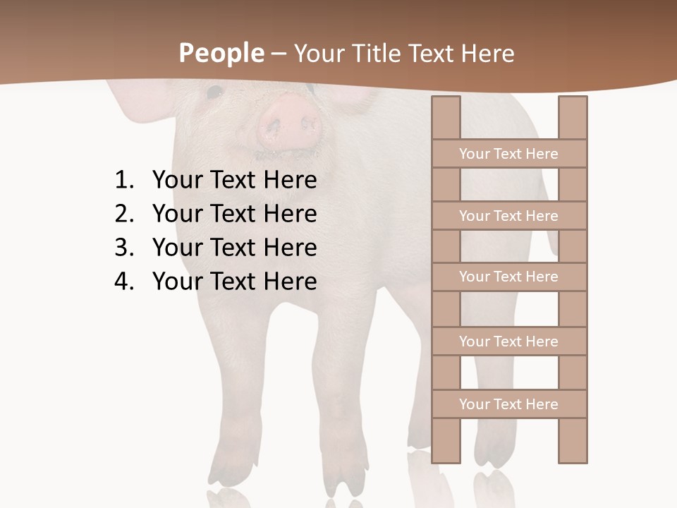 Image Shot Pig PowerPoint Template