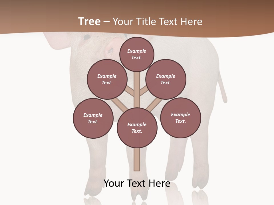 Image Shot Pig PowerPoint Template