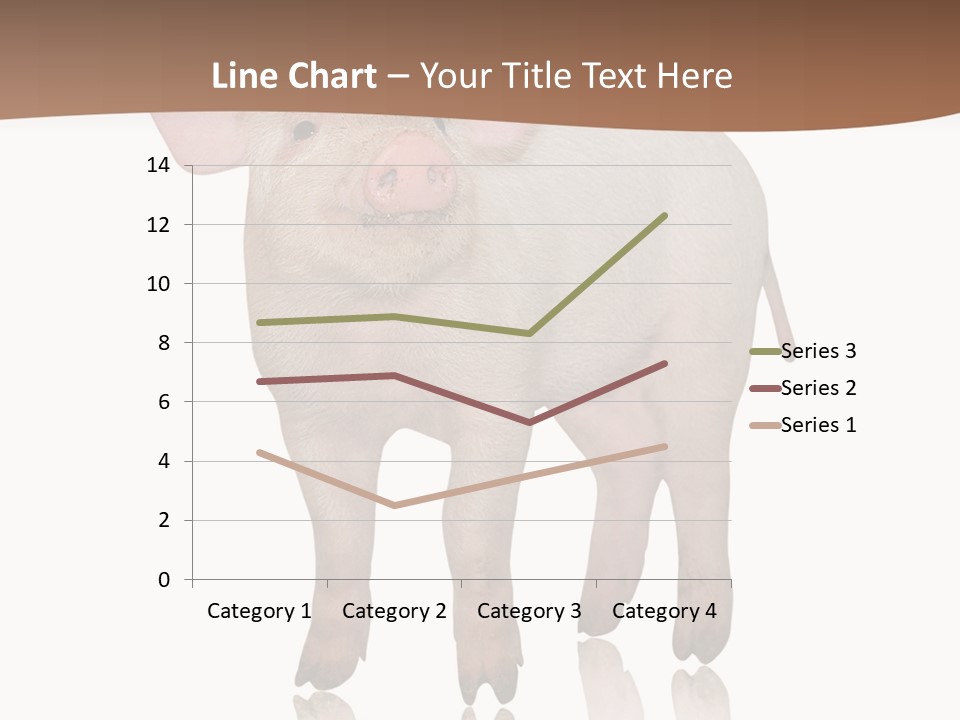 Image Shot Pig PowerPoint Template