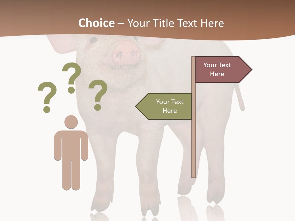 Image Shot Pig PowerPoint Template