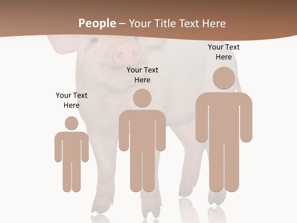 Image Shot Pig PowerPoint Template