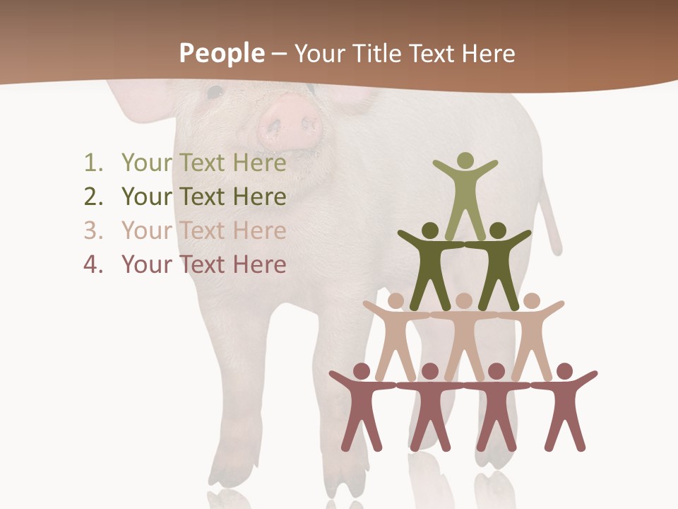 Image Shot Pig PowerPoint Template