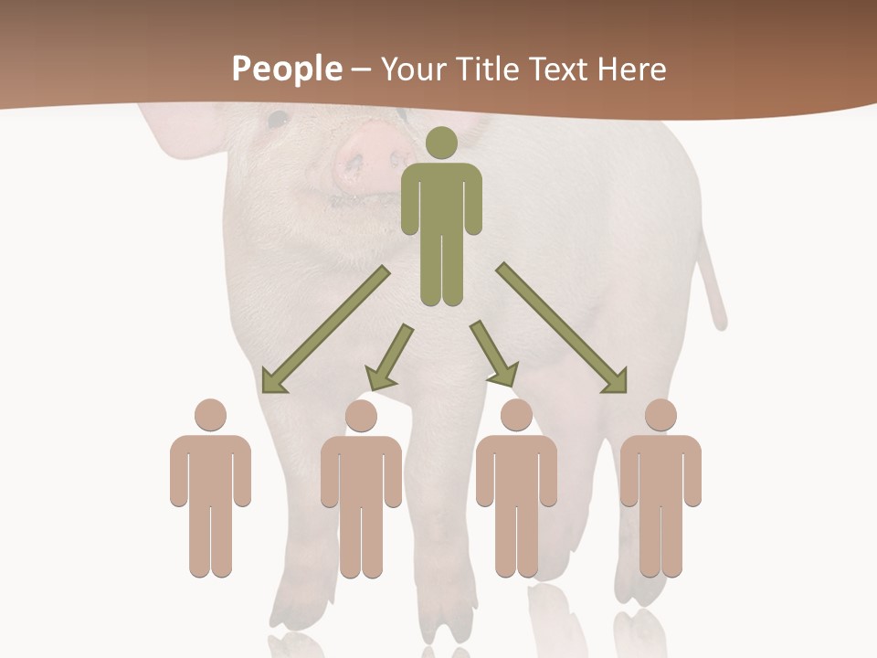 Image Shot Pig PowerPoint Template
