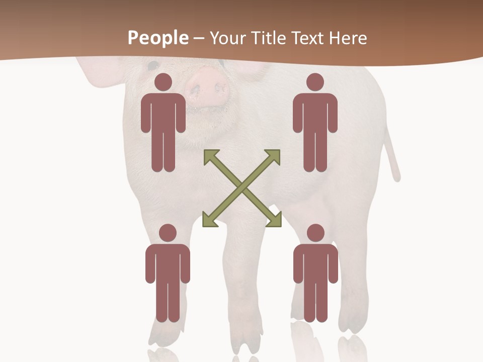 Image Shot Pig PowerPoint Template