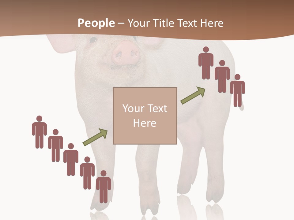 Image Shot Pig PowerPoint Template