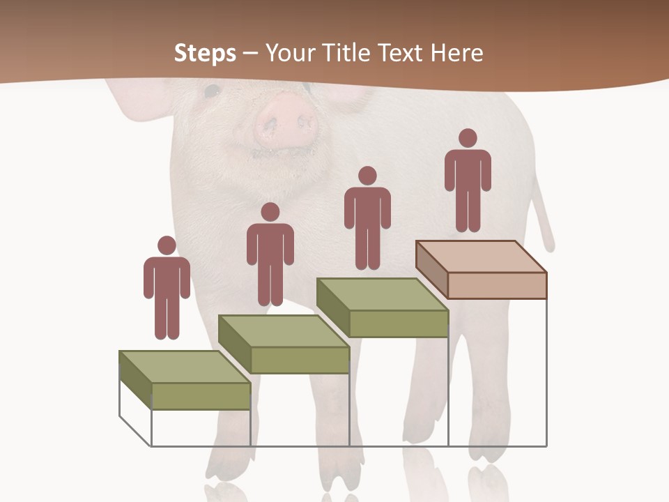 Image Shot Pig PowerPoint Template
