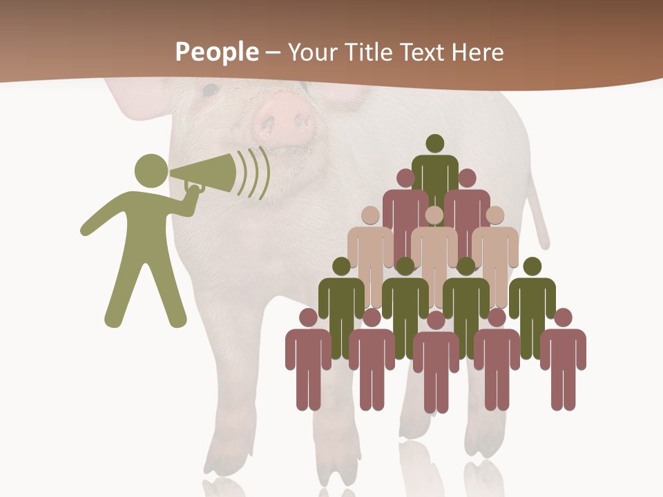 Image Shot Pig PowerPoint Template