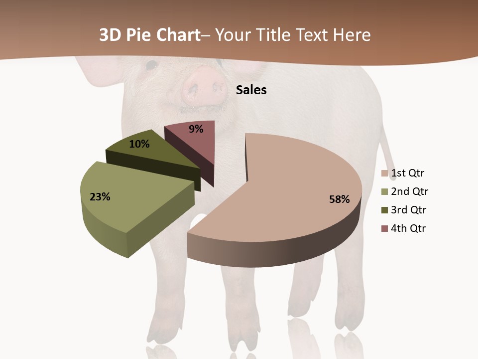 Image Shot Pig PowerPoint Template