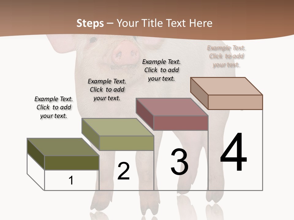 Image Shot Pig PowerPoint Template