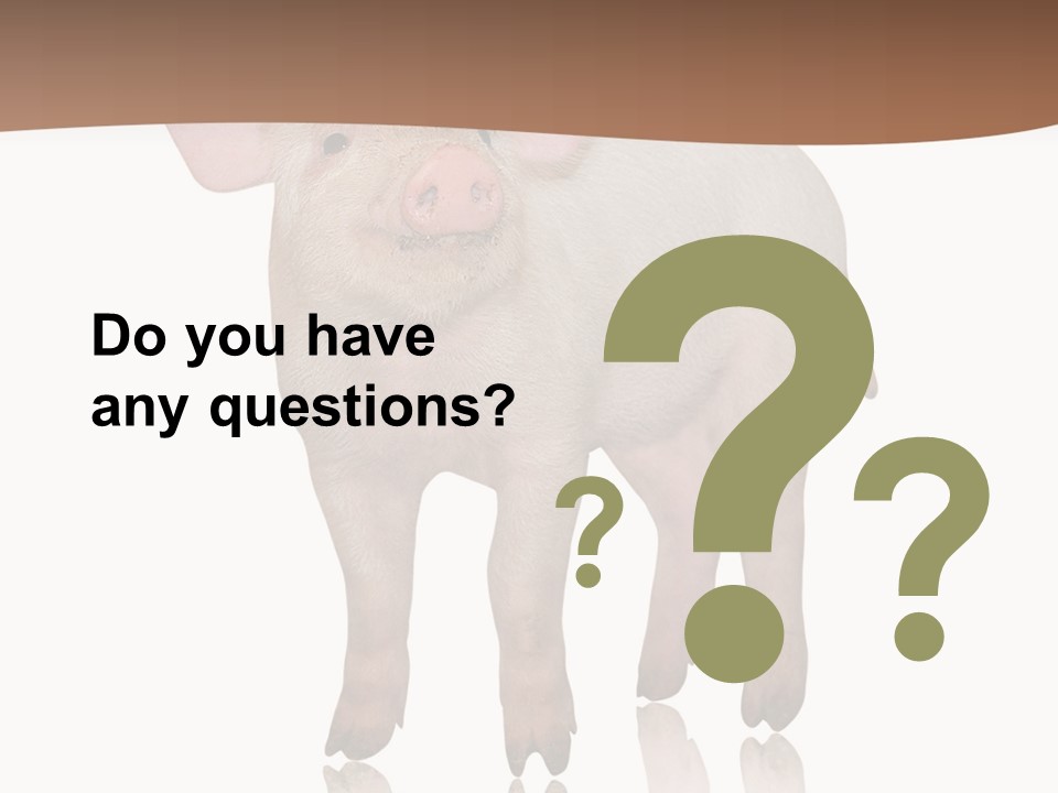 Image Shot Pig PowerPoint Template