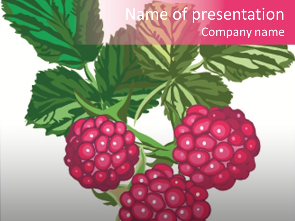 Raspberry Nature Decoration PowerPoint Template