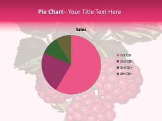 Raspberry Nature Decoration PowerPoint Template