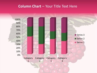 Raspberry Nature Decoration PowerPoint Template