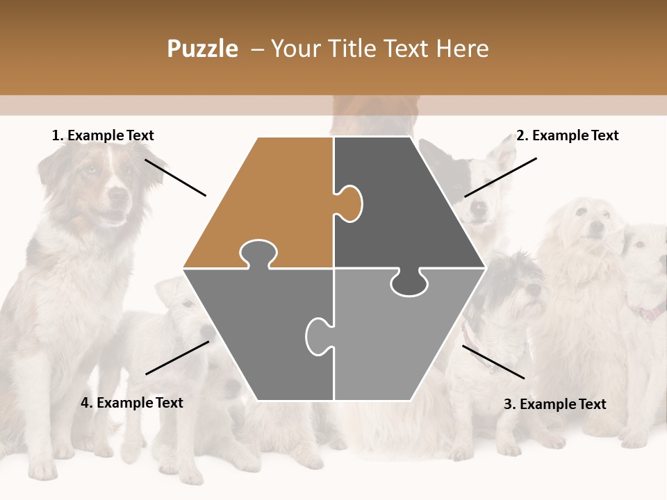 Parson Pet Mongrel PowerPoint Template