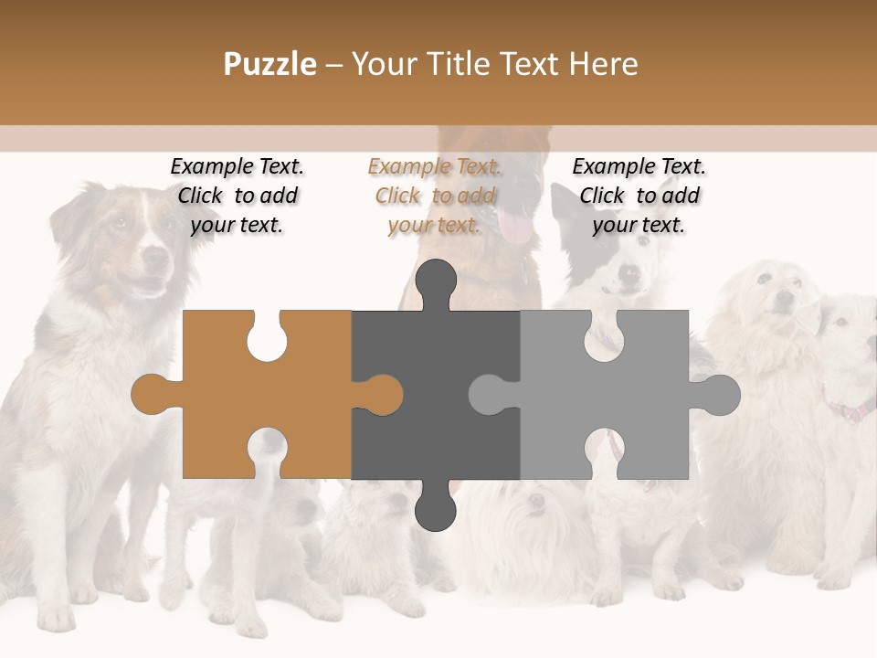 Parson Pet Mongrel PowerPoint Template