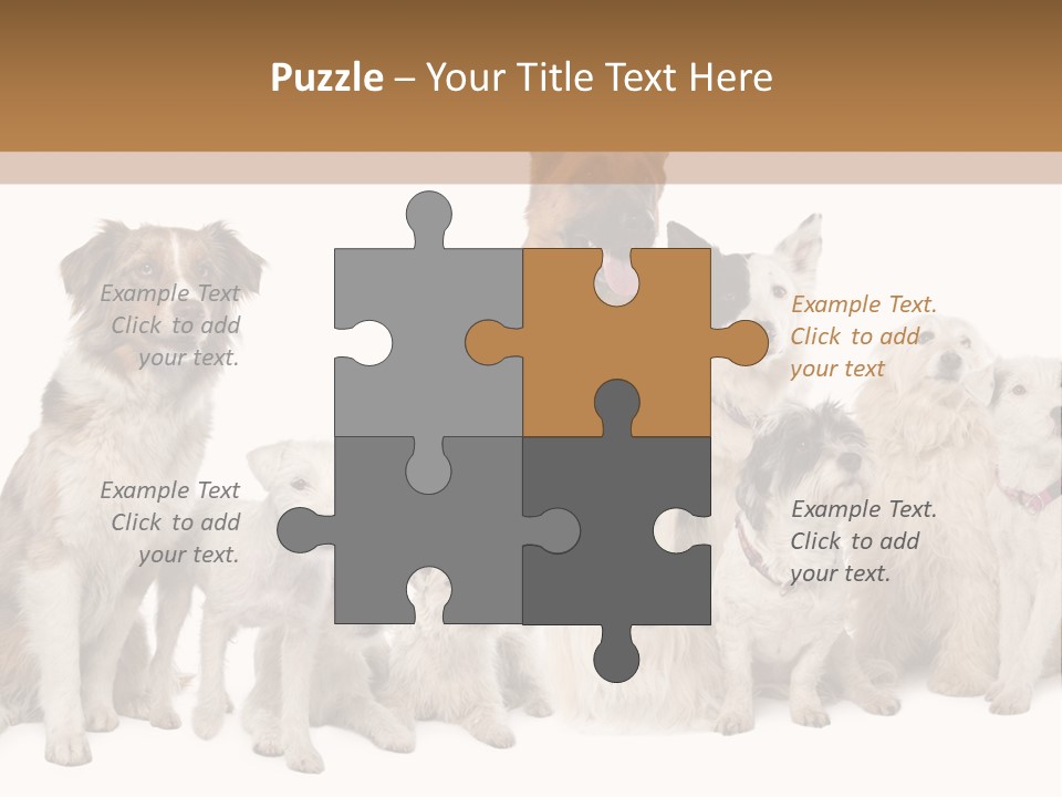 Parson Pet Mongrel PowerPoint Template